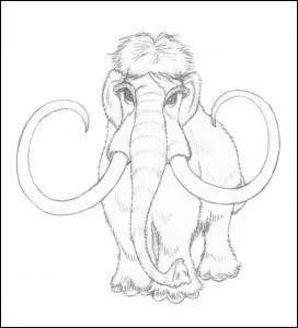 Qui est ce Familier ?