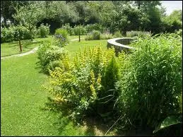 Ménigoute, commune de 900 habitants; est le cadre chaque année , d'un festival international dont la récompense majeur est un Lirou d'or . C'est le...