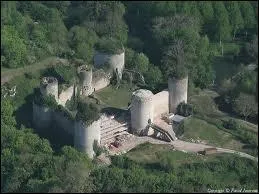 Un fleuron de la gastronomie française nous vient d'Echiré; où l'on trouve également ce château du XIII siècle, il s'agit ...