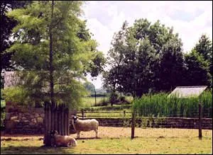 A Vasles, un parc animalier de 6 hectares , spécialisé dans les espèces ovines est ouvert depuis 15 ans. Il s'appelle...