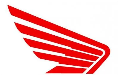 Cet aile reprsente ...