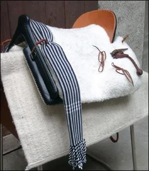 Quelle est cette selle ?