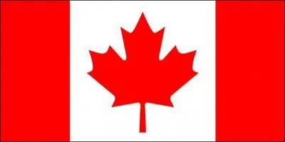 A quel pays appartient ce drapeau ?