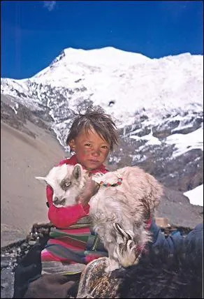 Compltez ce proverbe tibtain : 'Le voyage est un retour vers... ' ?