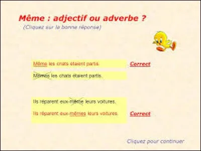 Dans quel cas ''MÊME'' ne prend-il pas de ''S'' ?