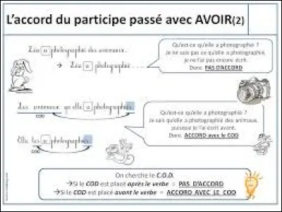 Dans quelle phrase un accord de participe passé (avec auxiliaire avoir) est-il incorrect ?