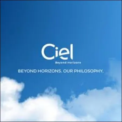 Quel adjectif se termine par ''-CIEL'' et non ''-TIEL'' ?