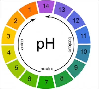 Quel mot doit s'écrire avec un ''F'' à la place du ''PH'' ?