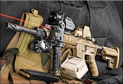 Quelle est cette arme ?