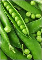 Les lgumes verts sont bons pour la sant.