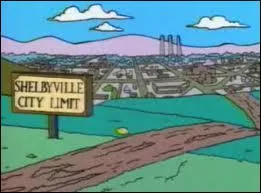 Comment s'appelle la ville voisine de Springfield ?