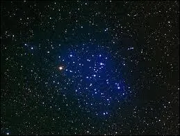 Si votre mari arrive excetionnellement bien ras, avec smoking et jolie cravate que lui direz-vous ?