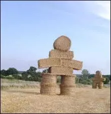 Qu'est-ce-qu'un homme de paille ?