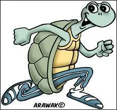 Que fait la tortue pour rattraper le livre ?