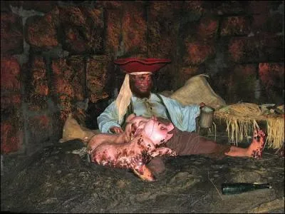 Quelle est cette attraction ?