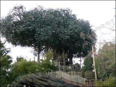 Quelle est cette attraction ?