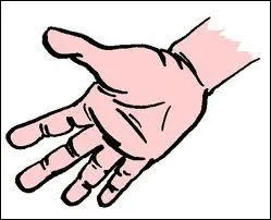 Que veut dire Faire main basse ?