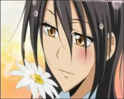 Qui sont les deux lycens aimant la protagoniste ?