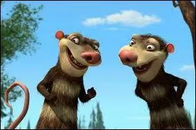 Quels sont leurs noms ?