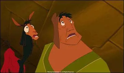 En quoi est fait son poncho ?