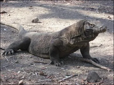 Il y a une le qui porte mon nom :