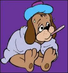 Dans quoi n'tes-vous pas quand vous tes malade ?