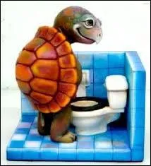 Que veut-dire 'ne pas tourner autour du pot' ?