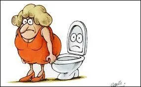 Que signifie l'expression aller  la selle ?