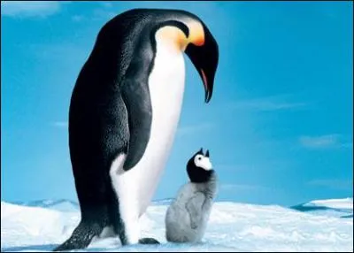 De quel animal s'agit t-il ?