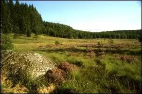 Couvrant plus de 190 hectares au nord, il y a un site remarquable  dcouvrir ... .