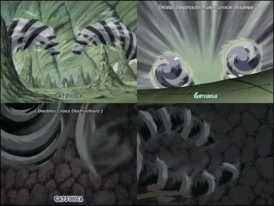 Quelle est la technique que Kiba et Akamaru utilisent ?