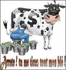 Que signifie 'avoir du bl' ?