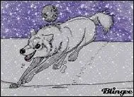 Si vous tes bon-vivant et populaire dans votre village, que dit-on de vous ?