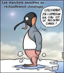 Si l'on a encore affaire  un gros btat, que dira-t-on ?