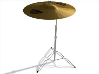 C'est instrument est un / une :