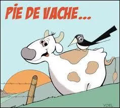 Si vous parlez beaucoup :