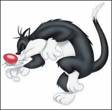 Celui qui se donne l'attitude d'un 'brave' :