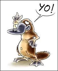 L'ornithorynque est un ...