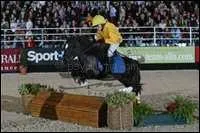 Equitation} Quel est cet obstacle ?