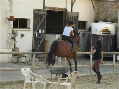 Equitation} Quel est cet obstacle ?
