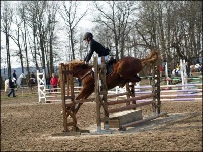 CSO} Que fait ce cavalier ?