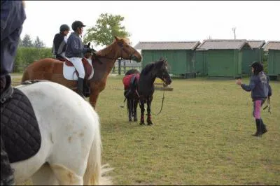 Equitation} Pourquoi la cavalire est-elle tombe ?