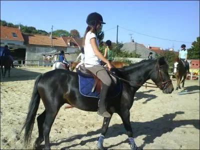 Allures} A quelle allure est ce poney ?