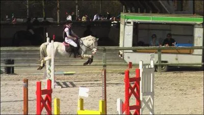 Position} Comment est la position de cette cavalire ?