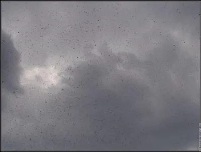 Quelle est cette couleur ?