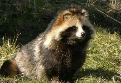 On peut me trouver en France...