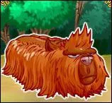 Comment s'appelle cette sorte de dinoz ?