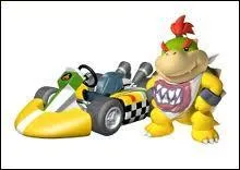 Je suis le dernier fils de Bowser, je suis donc...