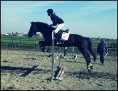 Quelle est ta position lorsque que tu sautes un obstacle ?