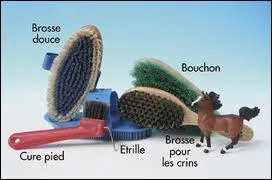 Pourquoi brosse-t-on le cheval ?